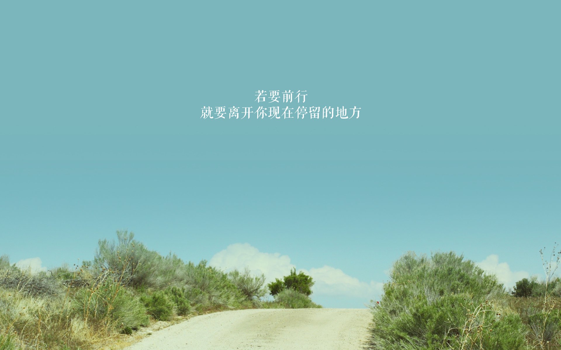 绿衫军横扫华南虎，布伦森如何化身现代凯尔特勇士