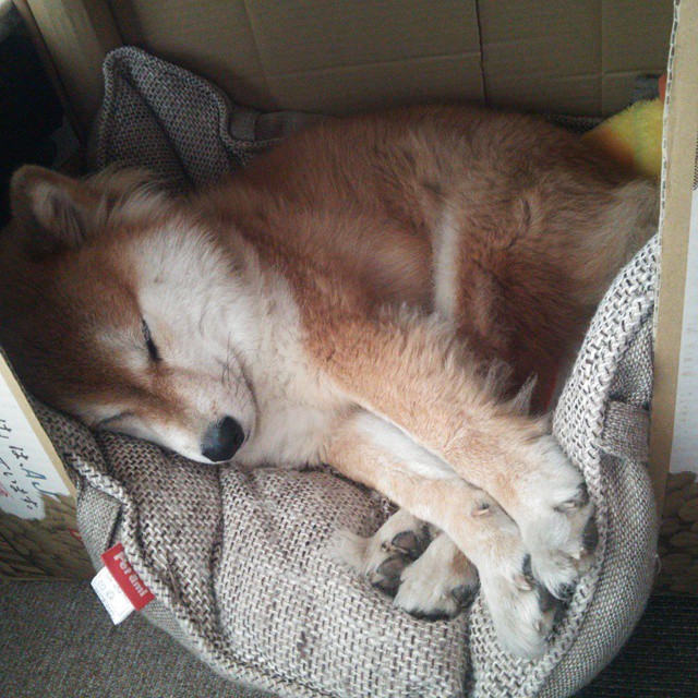 赛道逆袭记，微型奇迹哈斯如何用一场雨，击穿F里斯顿·马丁的豪华舰队？