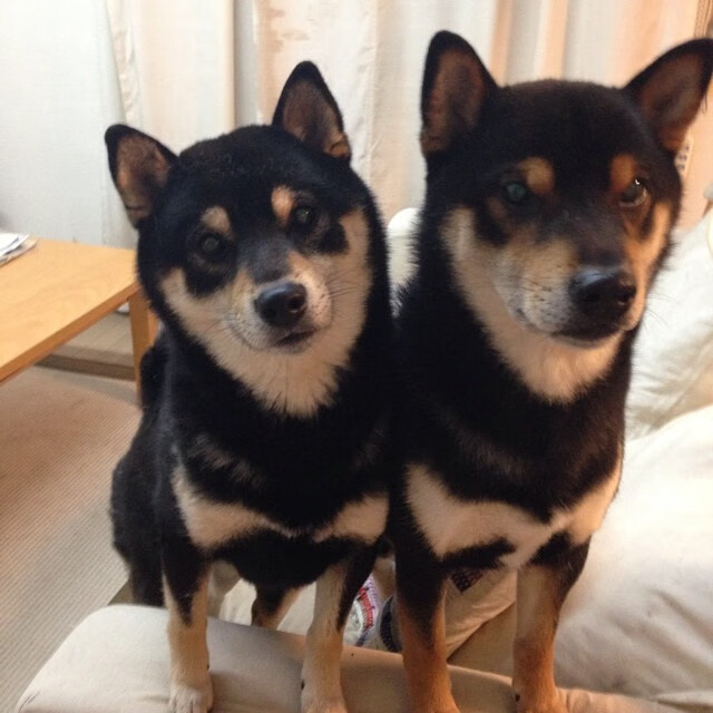 唯一通道，黄喜灿刺破安哥拉防线的奥运密钥