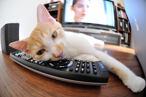 伦纳德50分神话续写!太阳超远三分绝杀广东,跨联盟世纪之战诞生新传奇