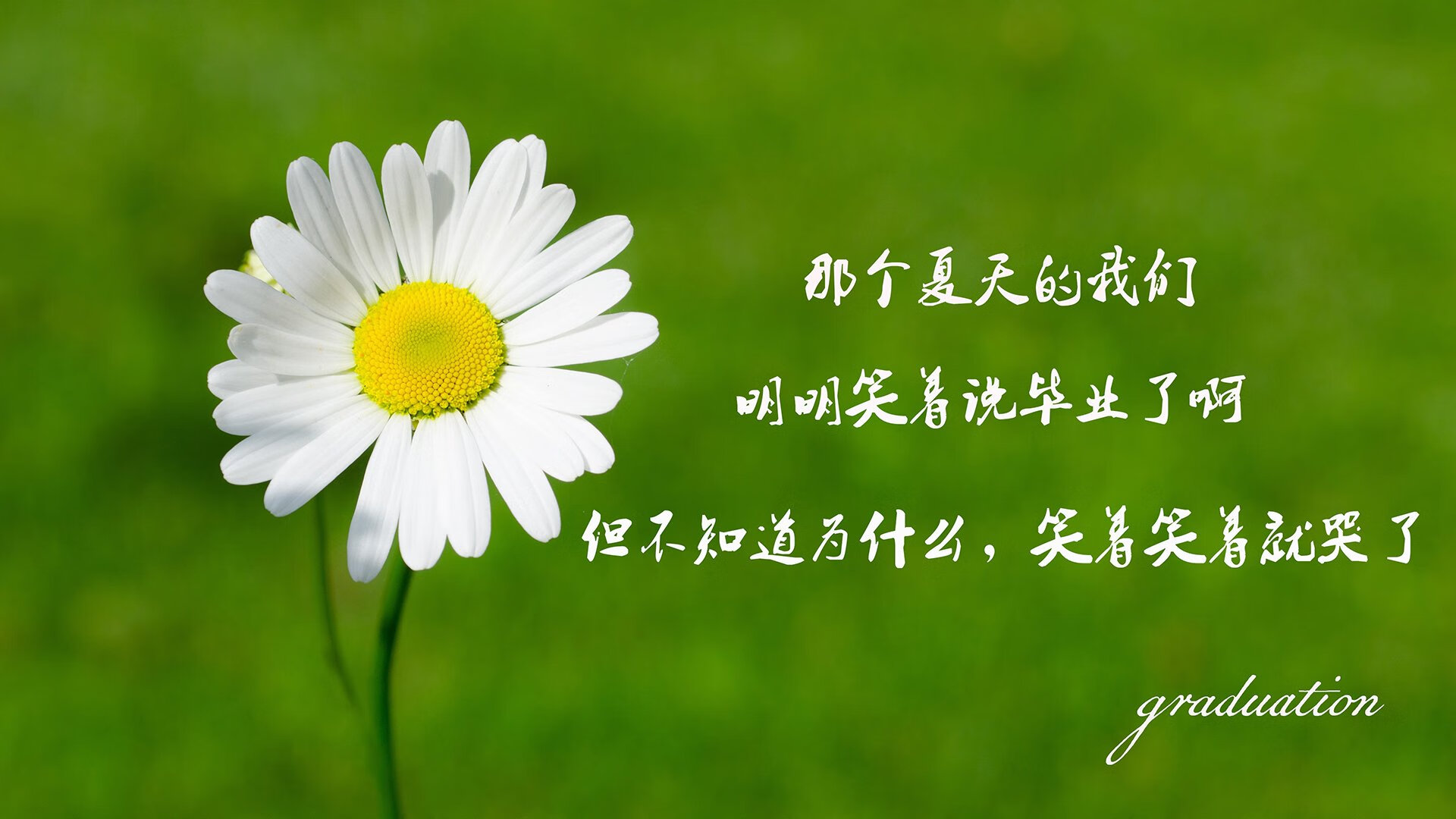 终场前奏绝杀，西班牙铁骑如何冲垮美利坚防线，赖斯末节孤星闪耀