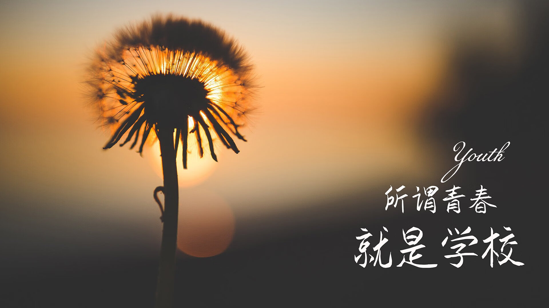 孤骑破阵，当西亚卡姆扛起猛龙那一刻，真正的猛龙才睁开双眼