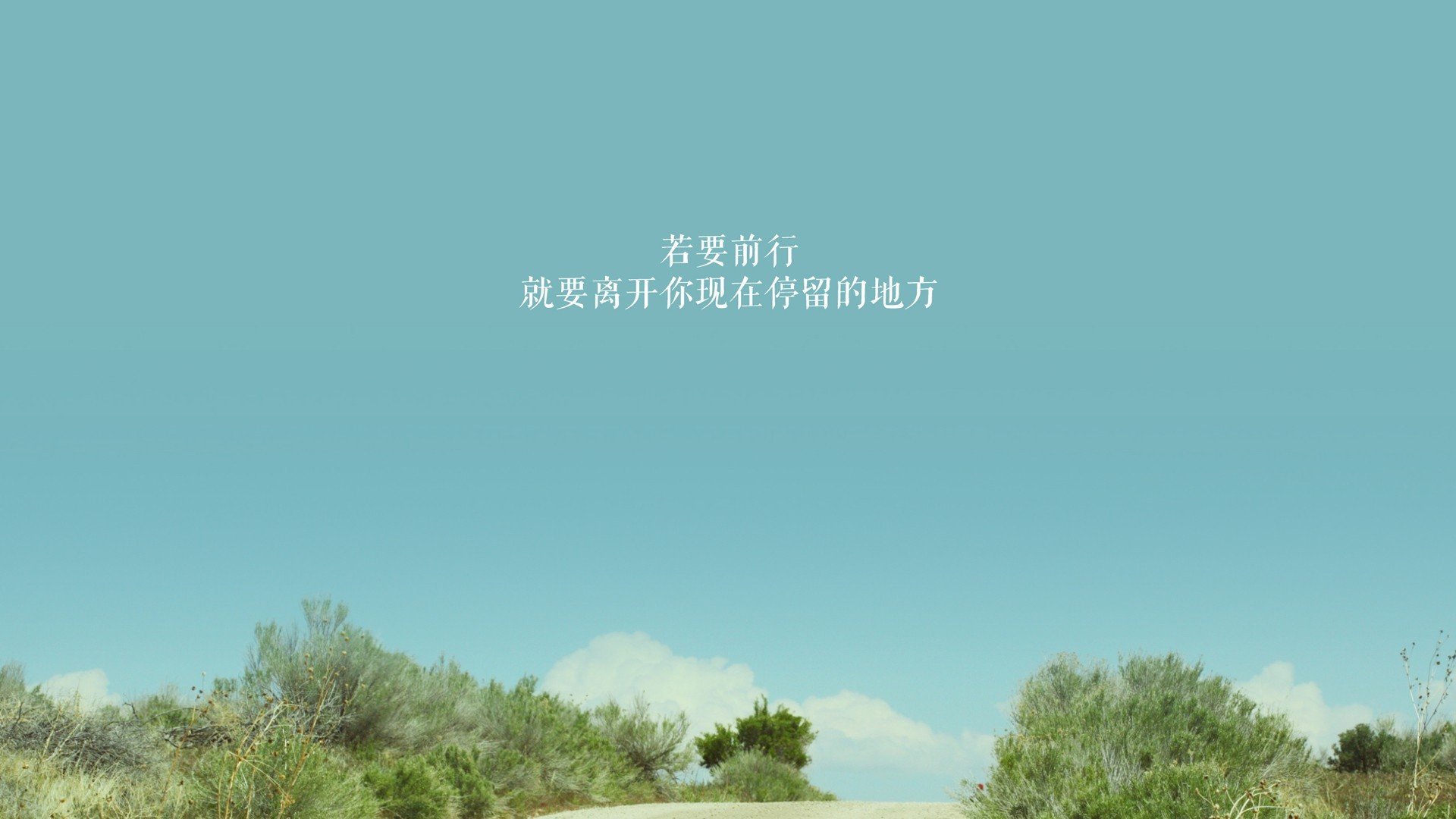 选项