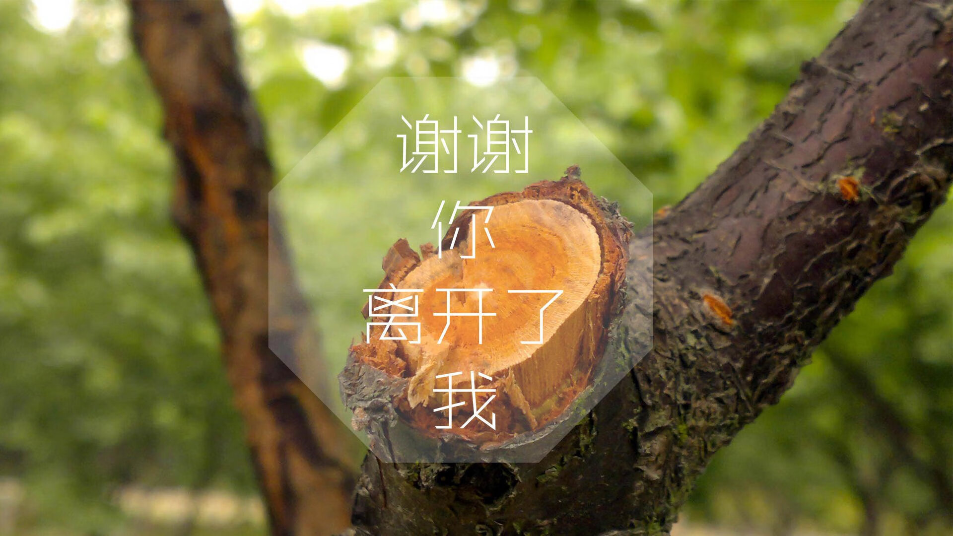 格子军团的钢铁意志,一场关于唯一的生死宣言