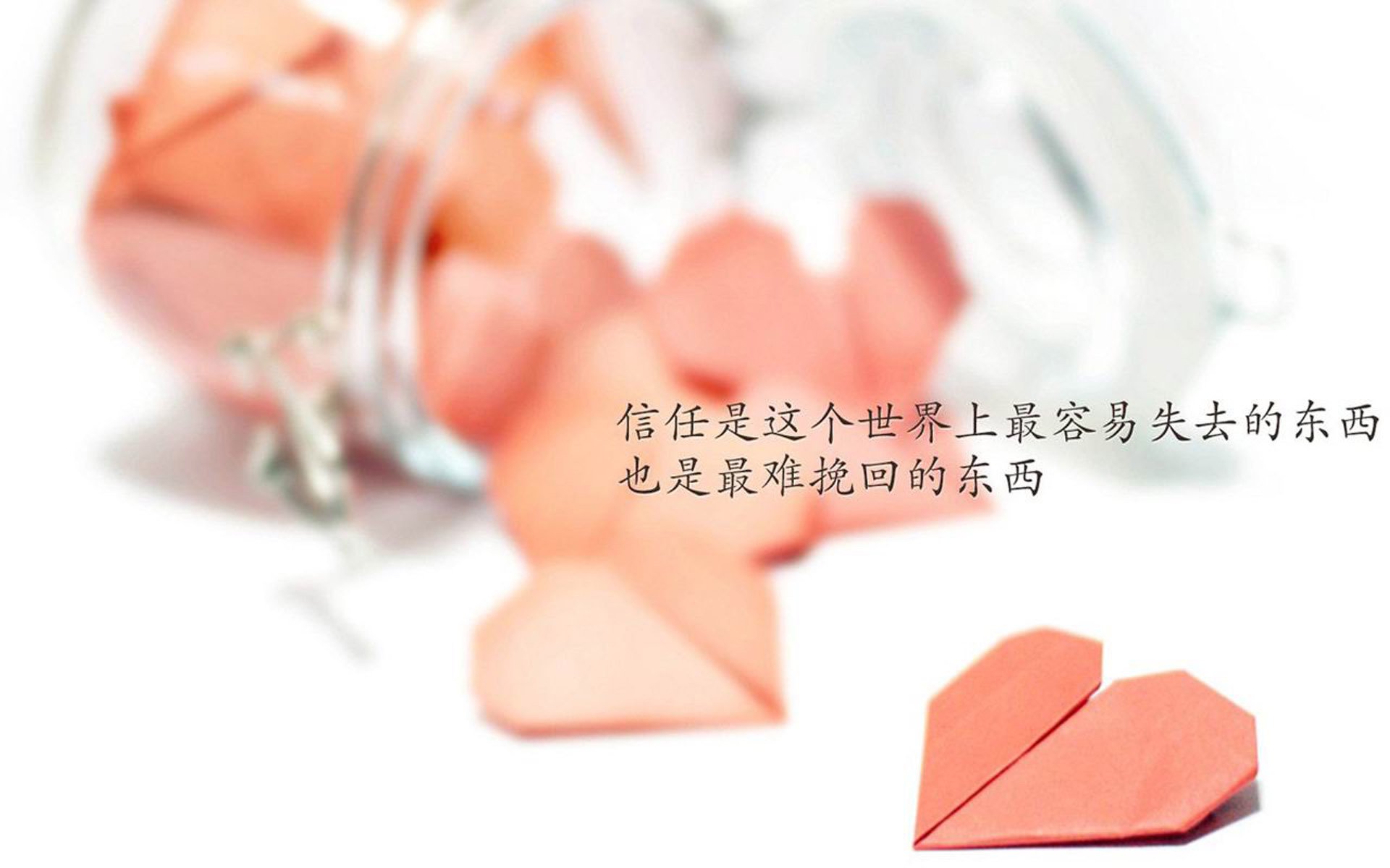 橙衣军魂刺穿暹罗之夏,范戴克一剑封喉,葡萄牙巨轮碾过2026世界杯E组迷雾